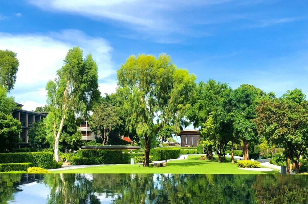 green trees near body of water during daytime